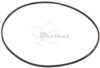 COURROIE CARREE DIAMETRE 69MM x 1MM