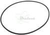 COURROIE CARREE Diam: 120 x 2.3 MM