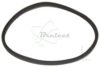 COURROIE CARREE Diam 54 MM x 2 MM