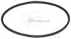 COURROIE CARREE Diam: 58 x 2 MM