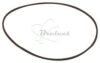 COURROIE CARREE Diam: 51.5 x 1 MM