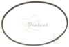 COURROIE CARREE DIAM 50.5 x 1.50MM