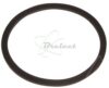COURROIE PLATE diam: 27 x 1 x 1.8 MM