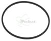 COURROIE CARREE Diam: 71 x 2 x 2 MM