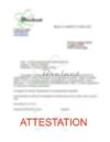 ATTESTATION DE NON REPARABILITE