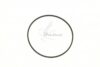 COURROIE CARREE Diam: 50 x 1.2 mm