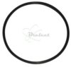 COURROIE CARREE Diam: 32 x 1 x 1mm