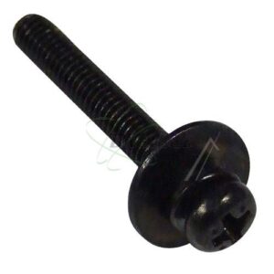 VIS LG - SCREW ASSEMBLY