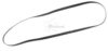 COURROIE PLATE Diam:125 x 4 x 0.5MM