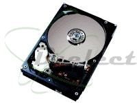 DISQUE DUR HDD 3.5P 80GB LG