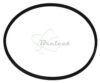 COURROIE CARREE Diam 51.5 x 1.6 MM
