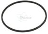 COURROIE CARREE Diam 48.5 x 1.5 MM