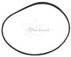 COURROIE CARREE Diam 87 x 1.5 MM