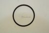COURROIE CARREE Diam 33mm x 1.1mm